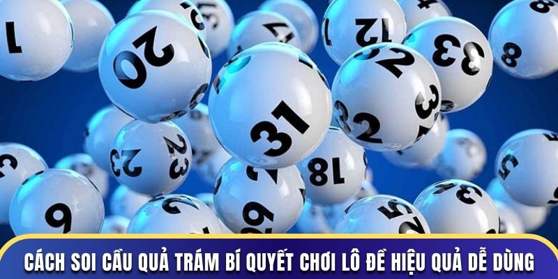 Cách Soi Cầu Quả Trám Bí Quyết Chơi Lô Đề Hiệu Quả Dễ Dùng